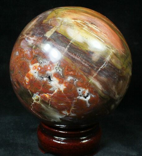Colorful Petrified Wood Sphere #20611